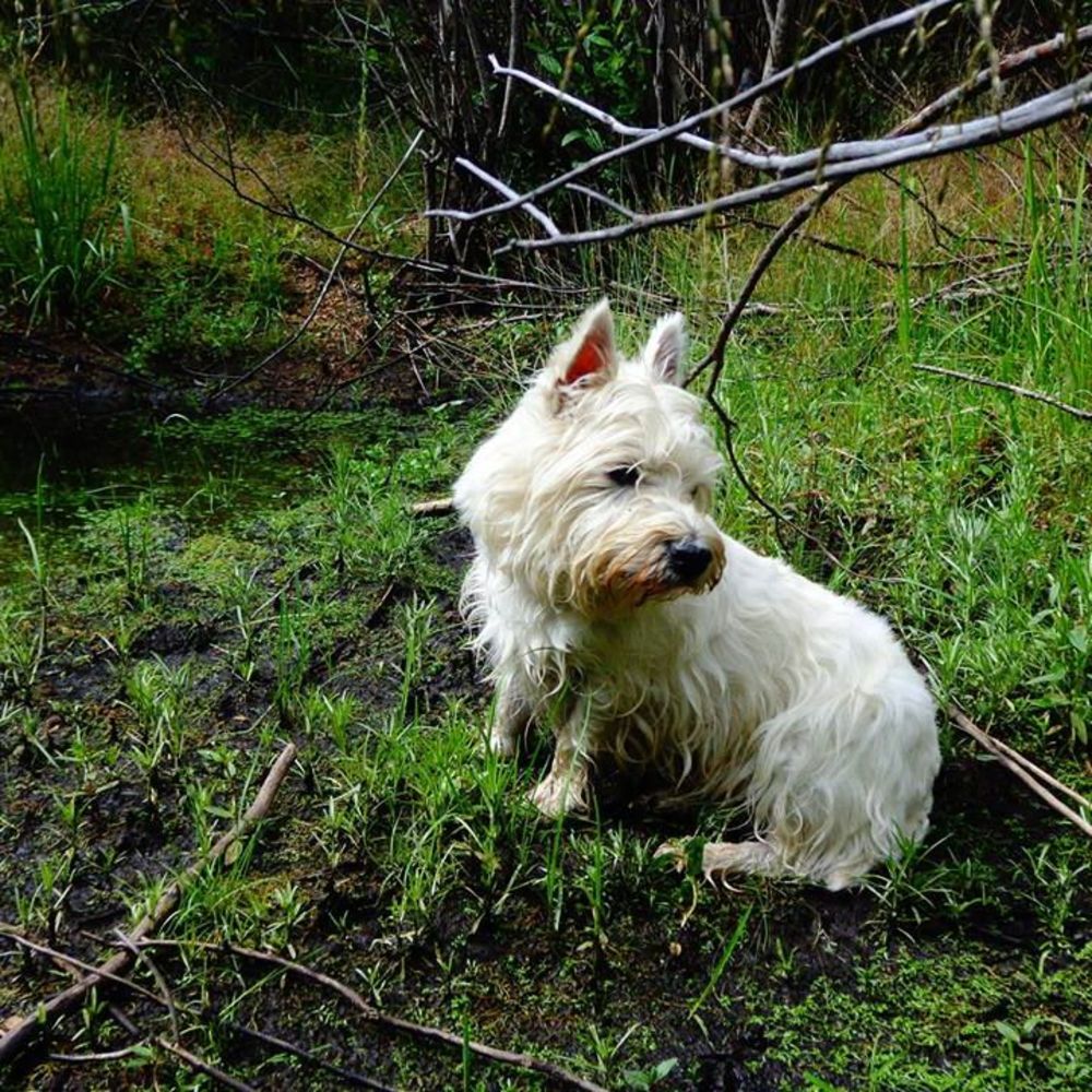 Meet your Posher, Mikwe